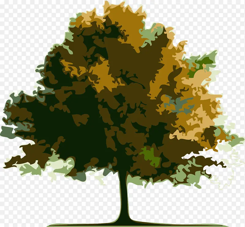 ��ɫ��-������