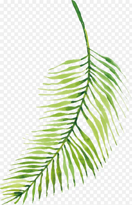 ��Ҷװ��-������