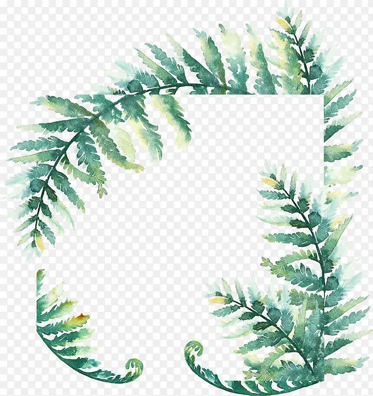 ��Ҷ����ֲ��߿�-������