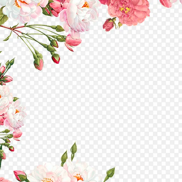 �ۺ�ɫ�Ļ���-������