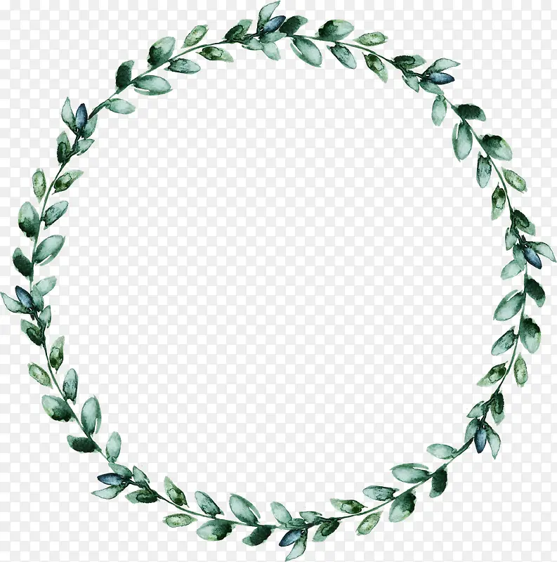 ˮ����Ҷ����-������