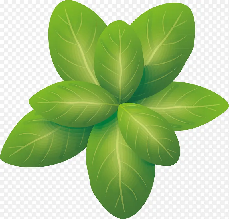 ��Ҷװ�����-������