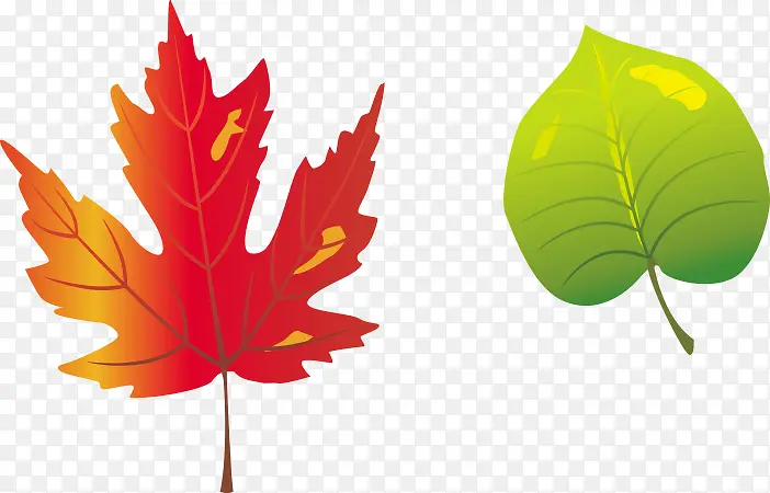 �ֻ���Ҷֲ���ز�-������