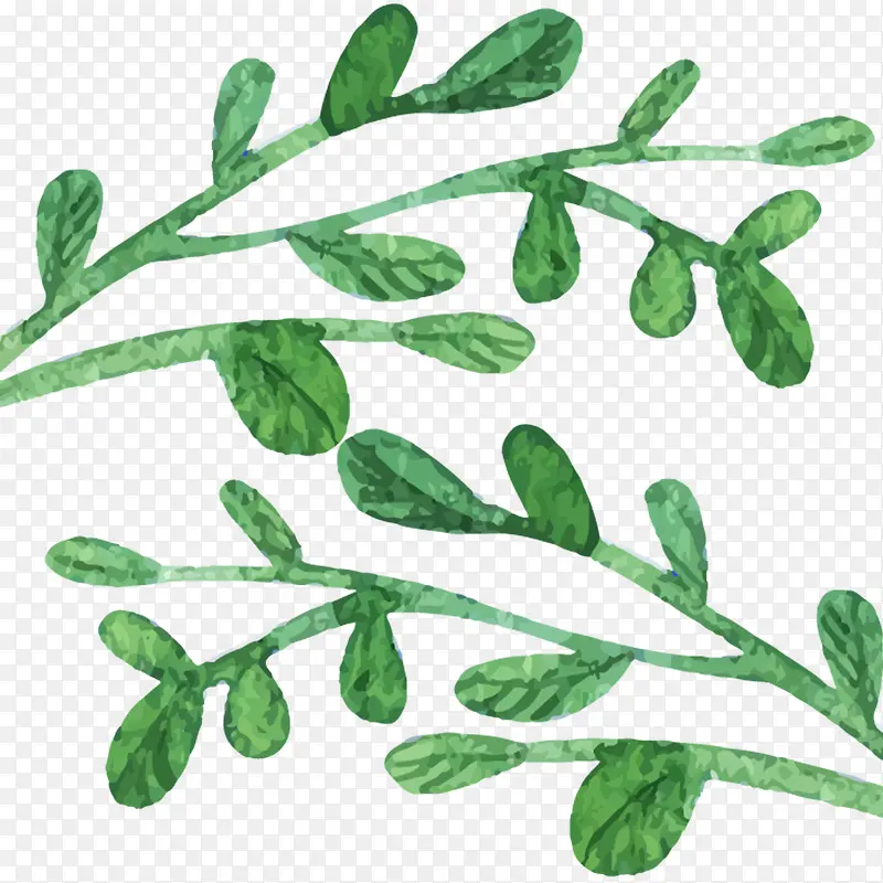 �ֻ���ɫˮ��Ҷ��-������