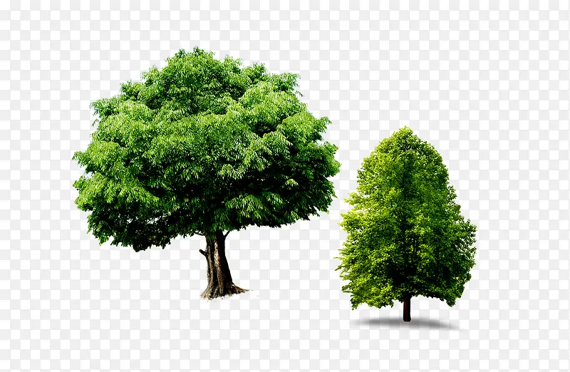 ����-������