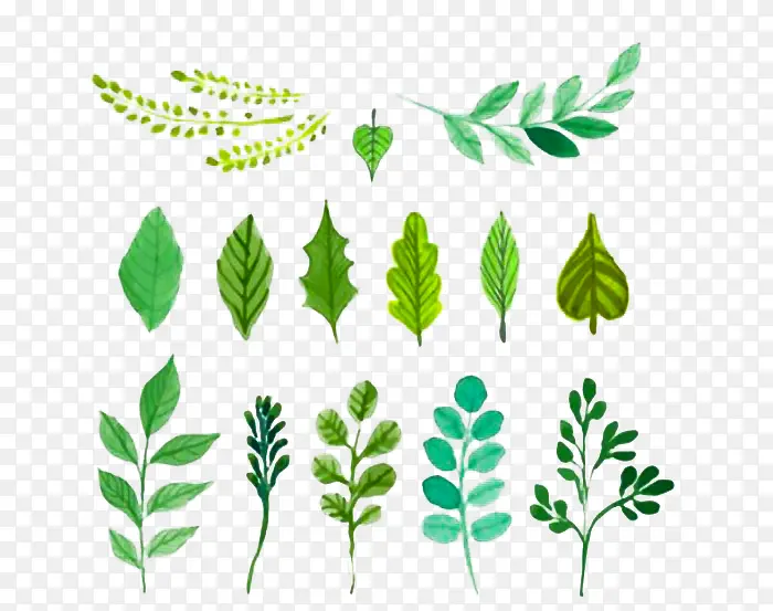 Ҷ���ֻ�-������