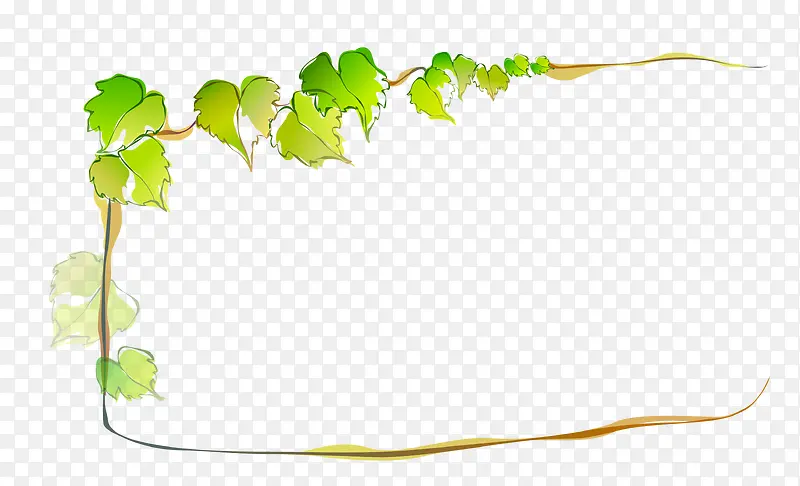 ��Ҷ�߿�-������