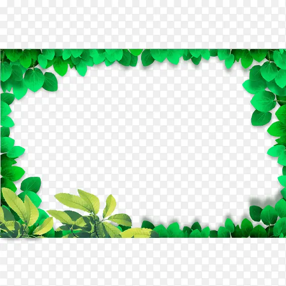 ��Ҷ�߿�-������