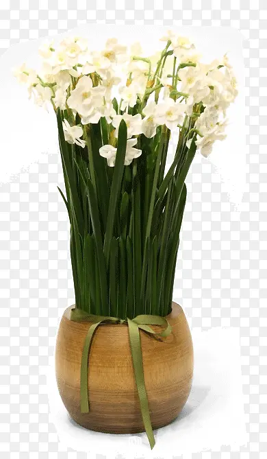 ��ɫ�Ļ�-������