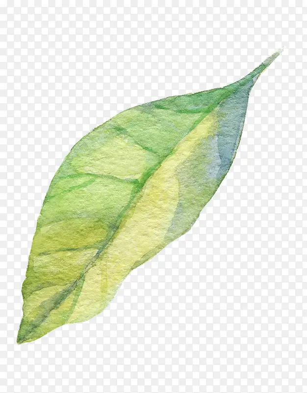 �ֻ�ˮ����Ҷ-������