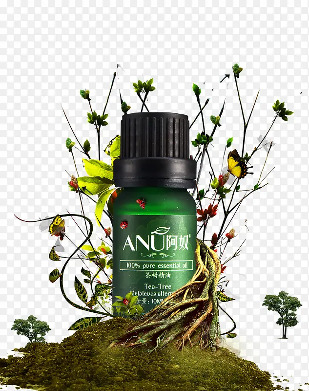 ��֦������ױ��ױƷ-������