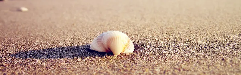 Ψ������-������