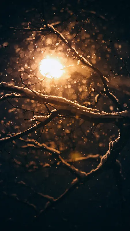 �ƹ���Ӱ�չ��ѩ-������