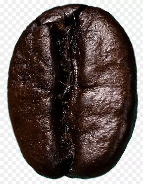 �䳲����d02 fy 28ʳƷ�����ʼ���ɭ��-���ȶ�-������