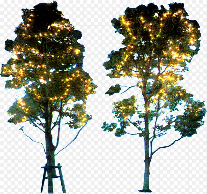 ����ƹ��Ч��ľ-������