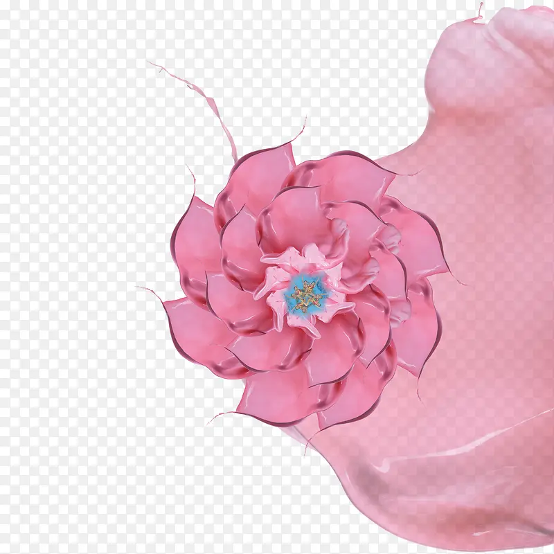 ܽ�ػ�-������