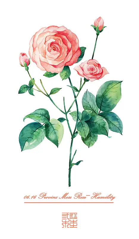 �ۺ�ɫˮ�ʻ����ֽ-������