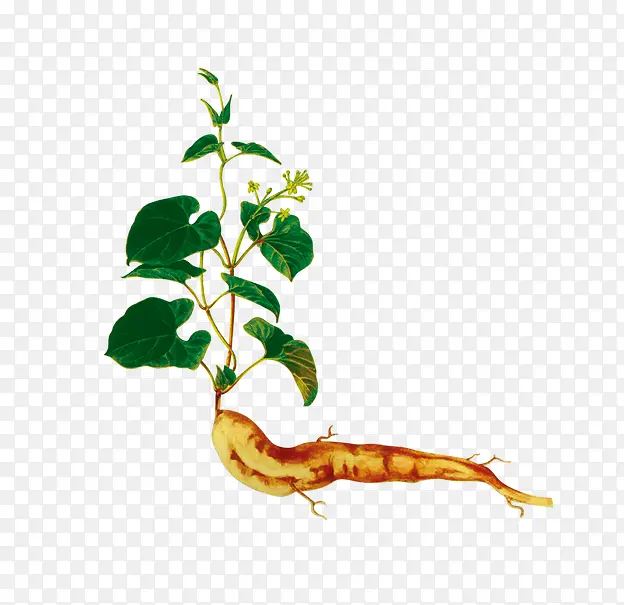 �˲�-������