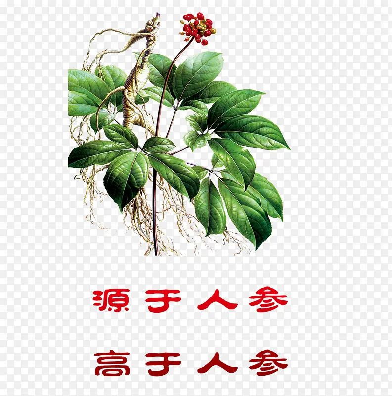 �˲β�Ʒʵ��-������