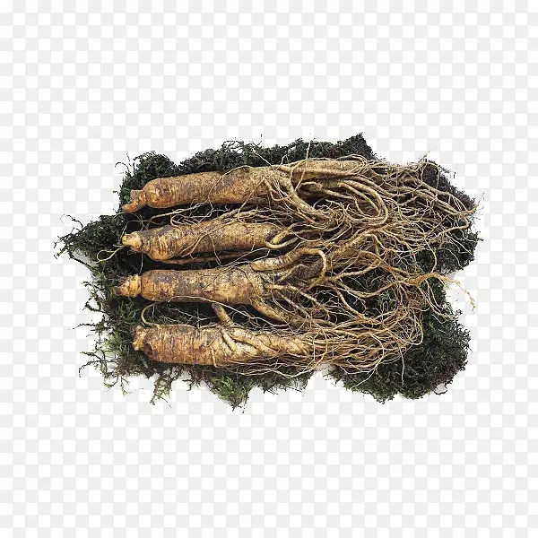 �˲�-������