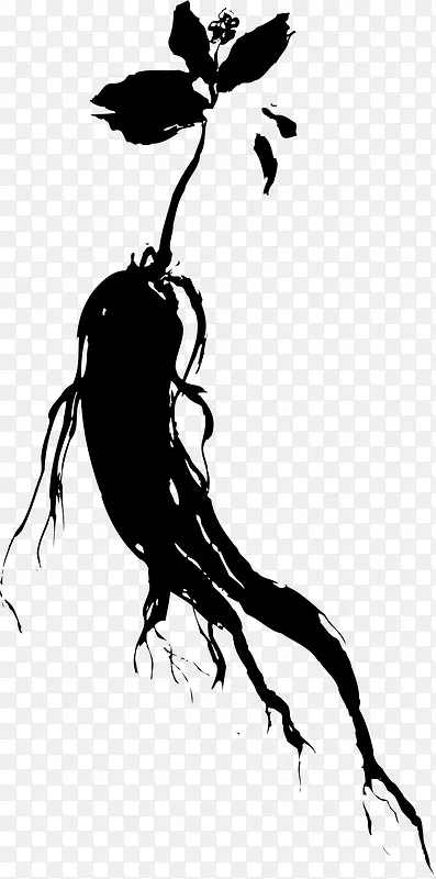 �˲μ�Ӱ-������