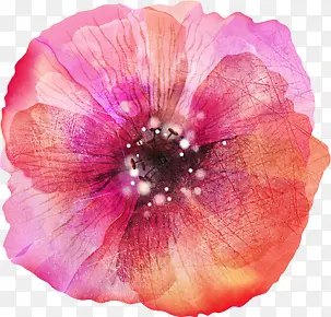 �ۺ�ɫˮ�ʻ���װ��-������