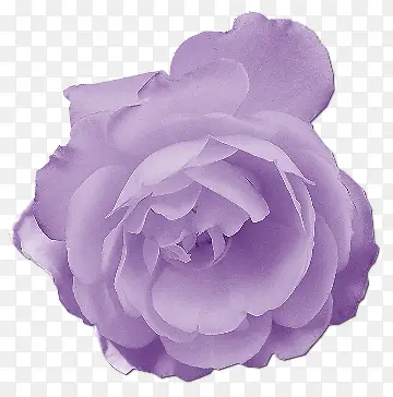 ˮ�ʷۺ�ɫ����-������