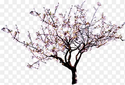 ������Ӱ�ۺ�ɫ���һ�Ч��-������