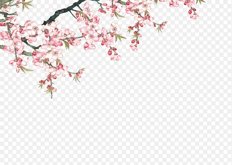 ������Ӱ����ۺ�ɫ���һ�-������