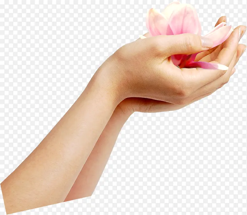 ������Ӱ�ֲ������ۺ�ɫ�һ�-������