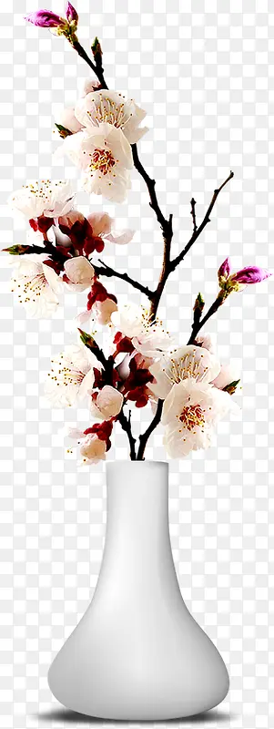 �ۺ�ɫ�һ�������Ӱ-������