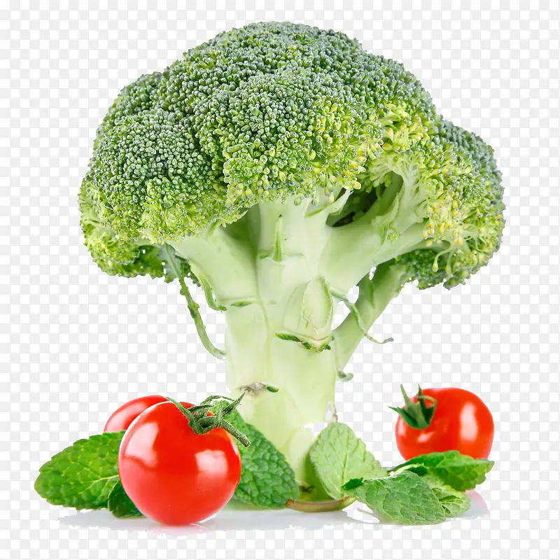 �߲��ز�-������