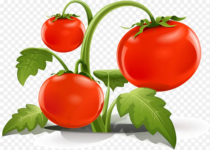 �߲�������-������