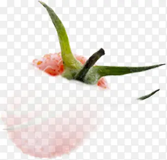 ������ˮ���С������-������