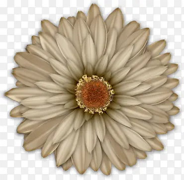 ���󻨶��ز�Ψ��-������