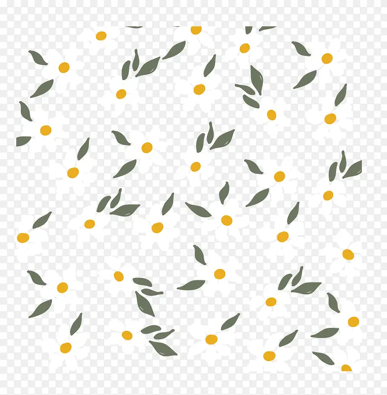 ��ͨ��Ҷˮ�ʻ�ʸ��ͼ-������