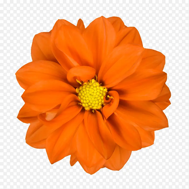 �ʻ��߿��ز��ʻ�����-������