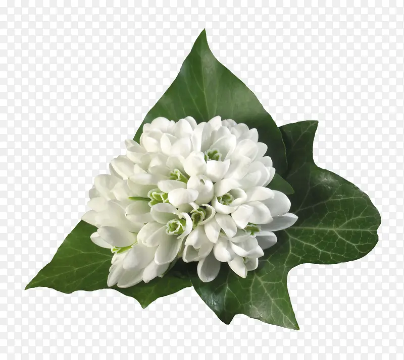 �����ʻ�ͼƬ�زĳ��󻨶��ز�-������