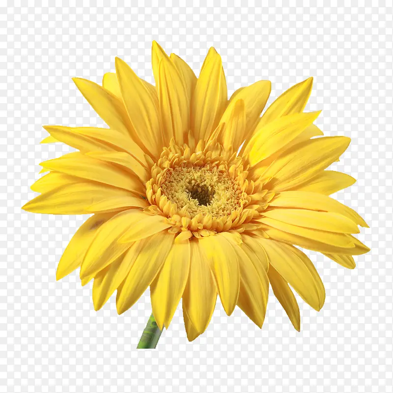 ��ͨ�ʻ�-������