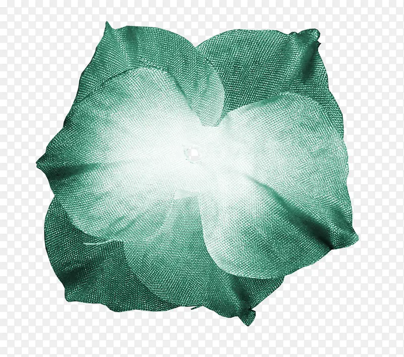 �ʻ��ز�ֲ�ﻨ���ز�-������