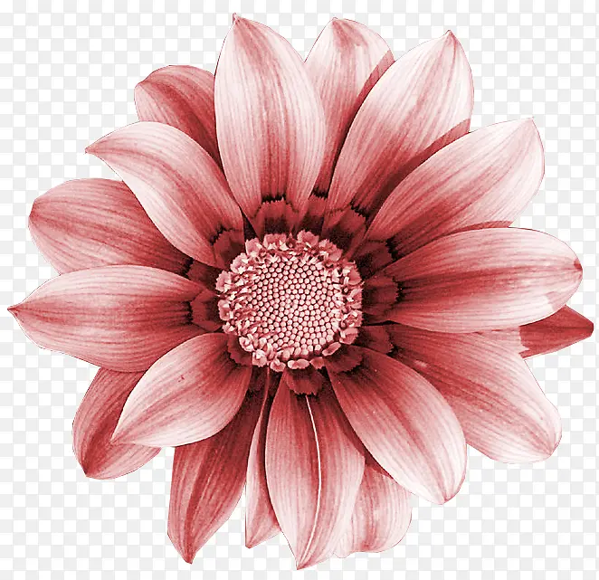 �ֻ滨��ͼƬ�زĻ����ز�-������