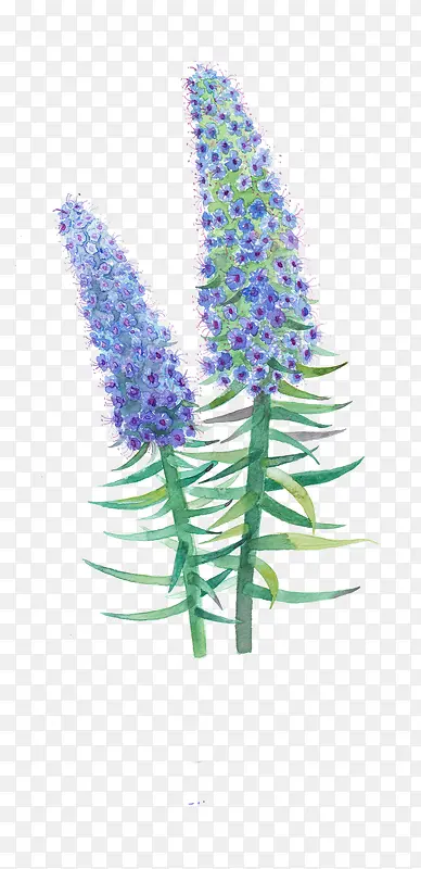 Ψ���ֻ��ʻ�-������