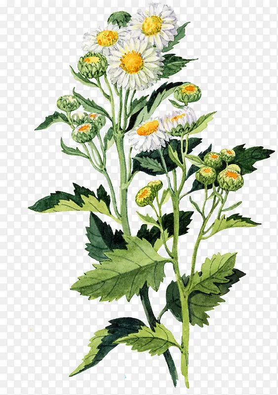 ˮ�ʾջ�-������