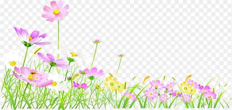 �ֻ滨��-������