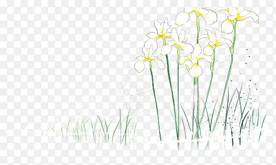 �ֻ�դ���ʻ�-������