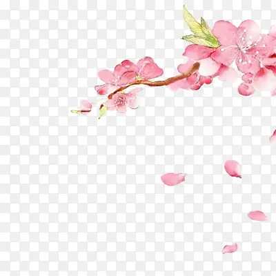 �ֻ��ʻ��ֻ��һ���ɫҶ��-������