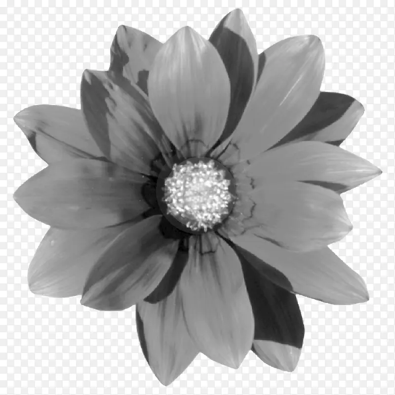 �ʻ������ֻ滨���ز�-������