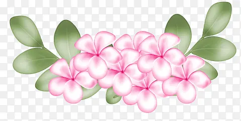 �ۺ��ֻ��ʻ�-������