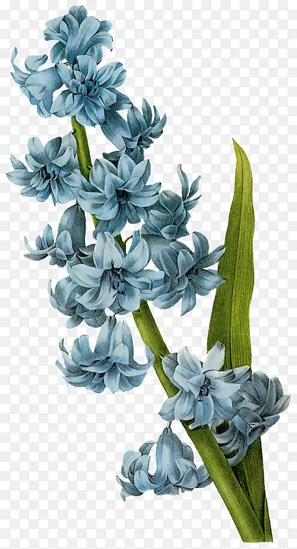 �ֻ���������Ԫ��-������