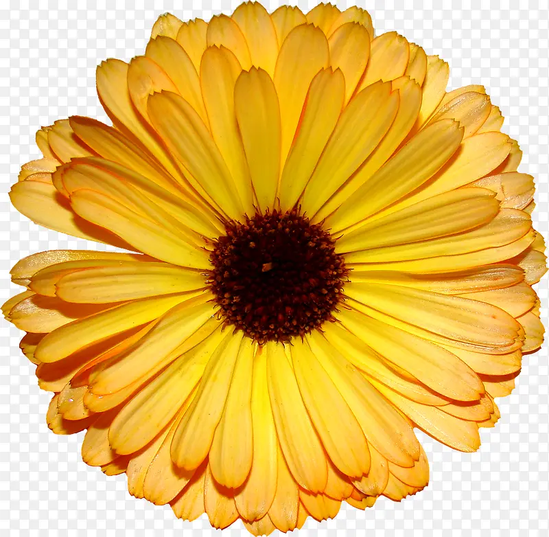 �ʻ��ֻ滨��ͼƬ-������